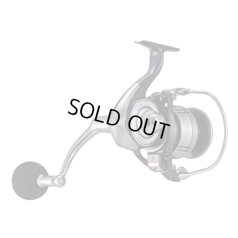 画像2: ダイワ 21セルテートSW 8000P (2)