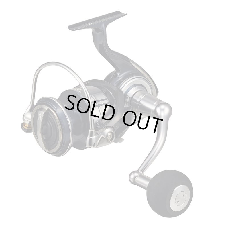 画像1: ダイワ 21セルテートSW 8000P (1)