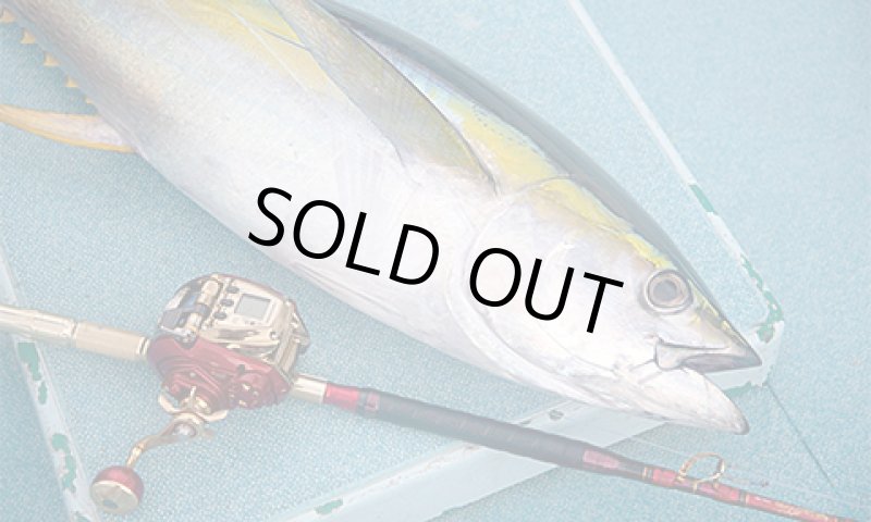 画像2:  ダイワ 21シーボーグ 600MJ (2)