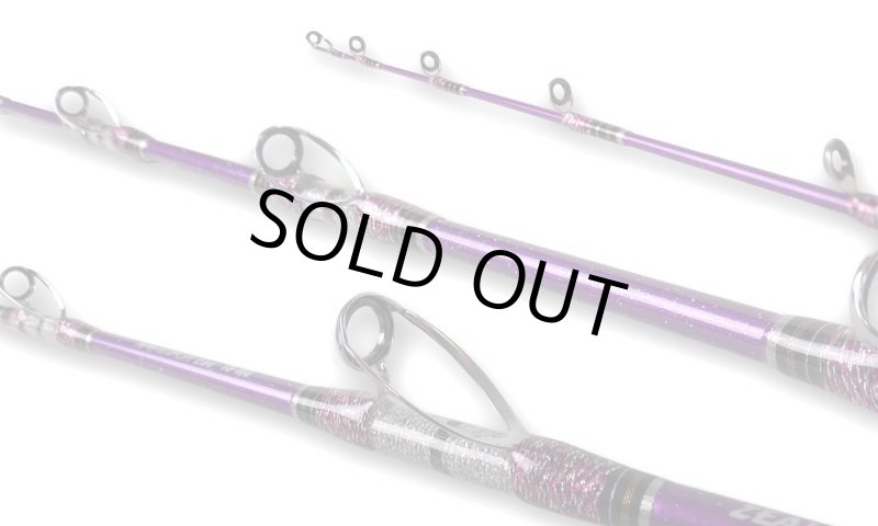 画像2: ZEALOT Infinity GLORIA Evo 73-210 (2)