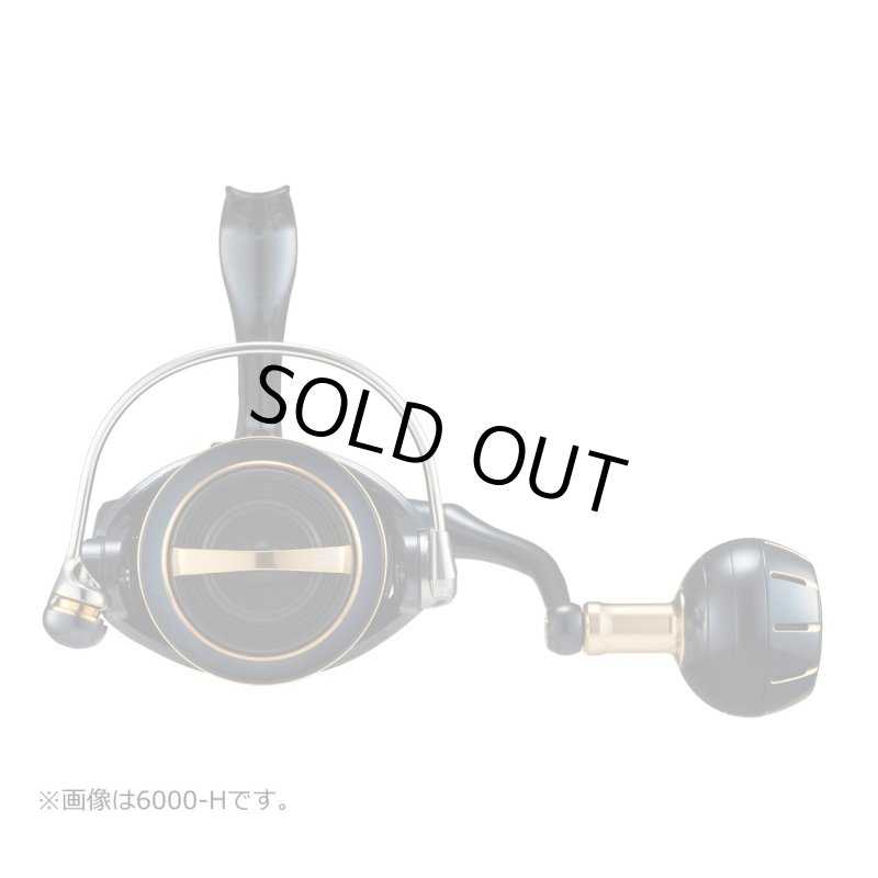 画像4:  ダイワ 23ソルティガ 6000-XH (4)