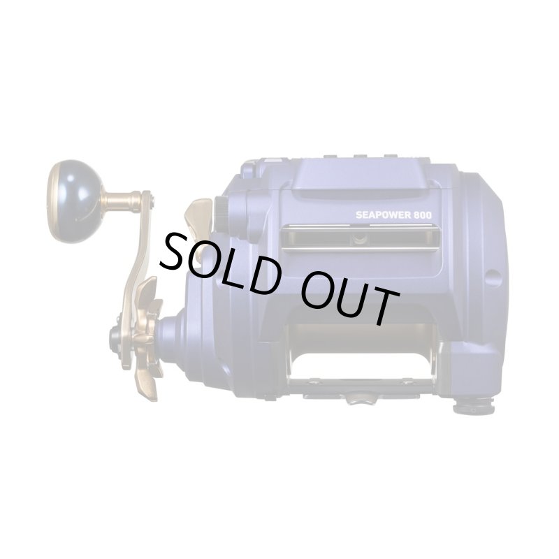 画像4: ダイワ 23シーパワー 800 (4)