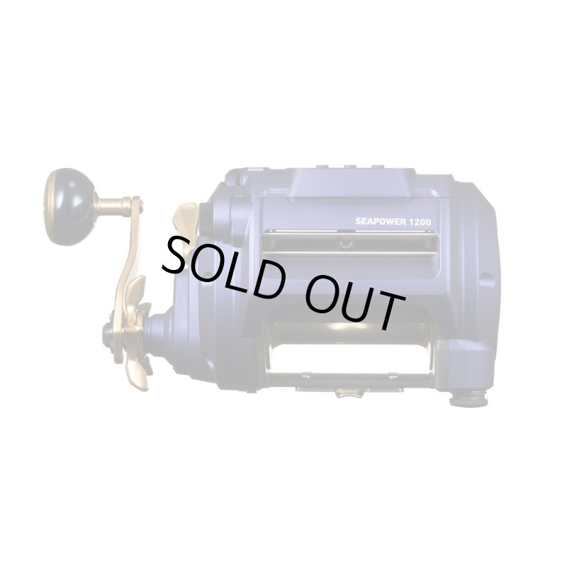 画像4: ダイワ 23シーパワー 1200 (4)