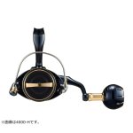 画像4: ダイワ 23ソルティガ 4000-XH (4)