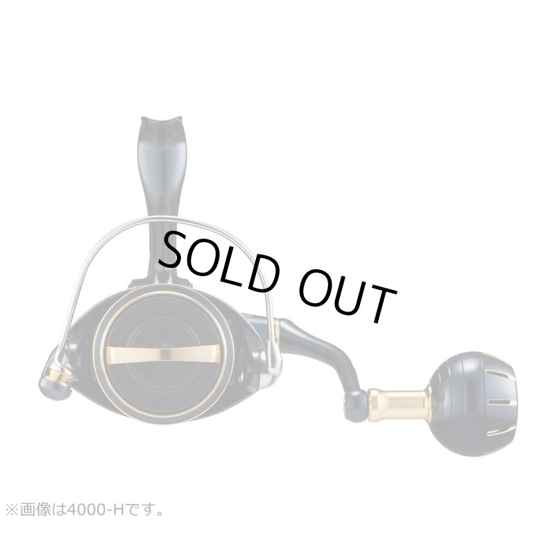 画像4: ダイワ 23ソルティガ 4000-XH (4)