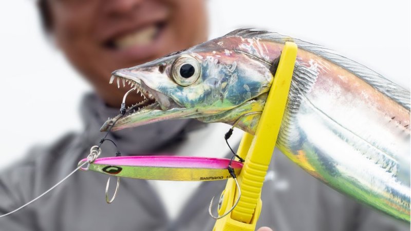 画像4: シマノ オシア シックスサイド (4)