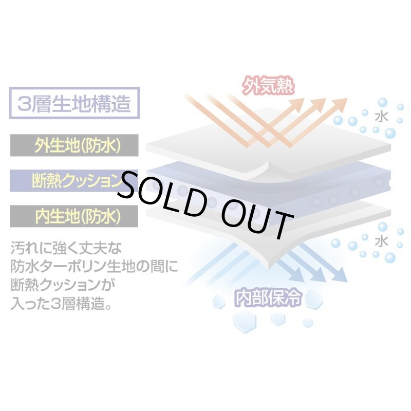 画像3: PROX 保冷トライアングル 鮪バッグ 200 (3)