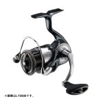 画像2: ダイワ 24セルテート FC LT2000S-H (2)