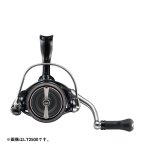 画像3: ダイワ 24セルテート FC LT2000S-H (3)