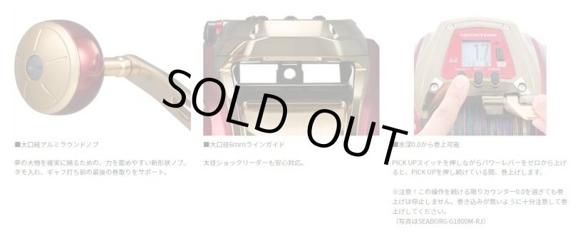 画像4: [再入荷]ダイワ シーボーグ G800MJ (4)