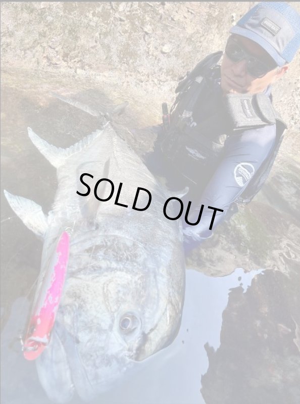 画像2: GOOD BAIT FULL MESH CAP（フルメッシュキャップ） (2)