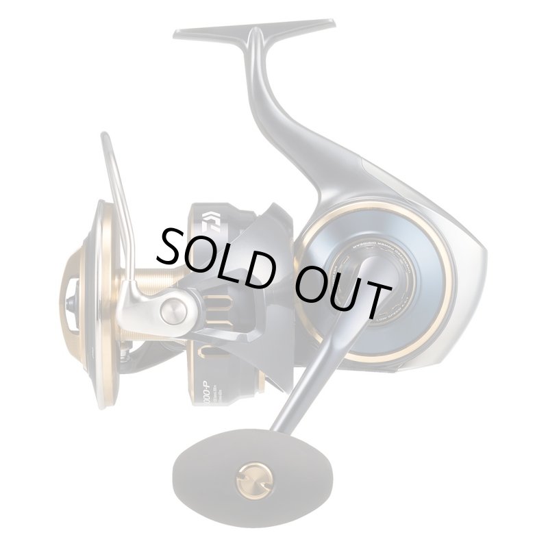 画像1: ダイワ 25ソルティガ 25000-P (1)