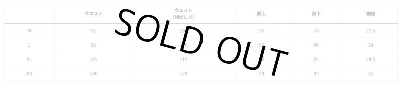 画像2: ダイワ DR-2325P スプレーコートレインビブパンツ (2)