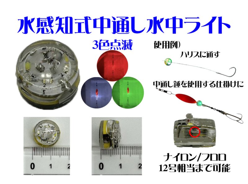 画像1: 水感知式中通し水中ライト (1)