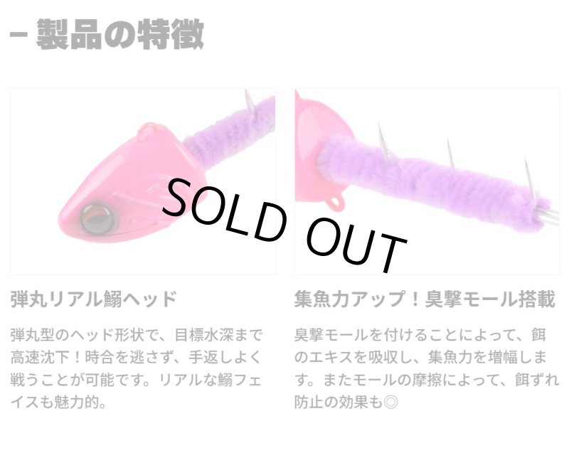 画像3: スタート タチレンジャー (3)