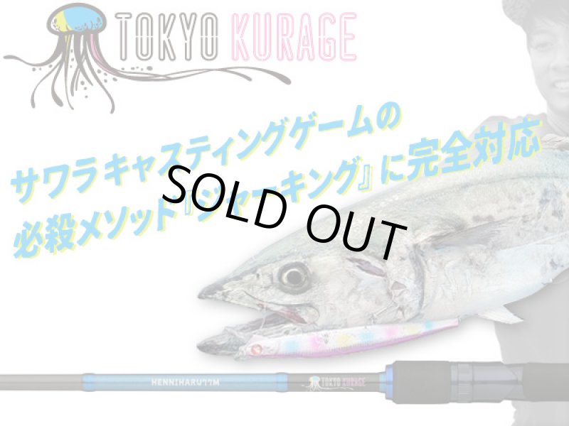 画像1: ブルーブルー ヘンニハル77M (1)