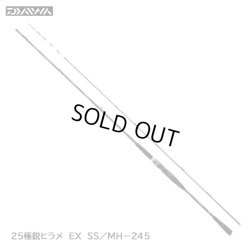 画像1: ダイワ 極鋭ヒラメ EX SS/MH−245 (1)