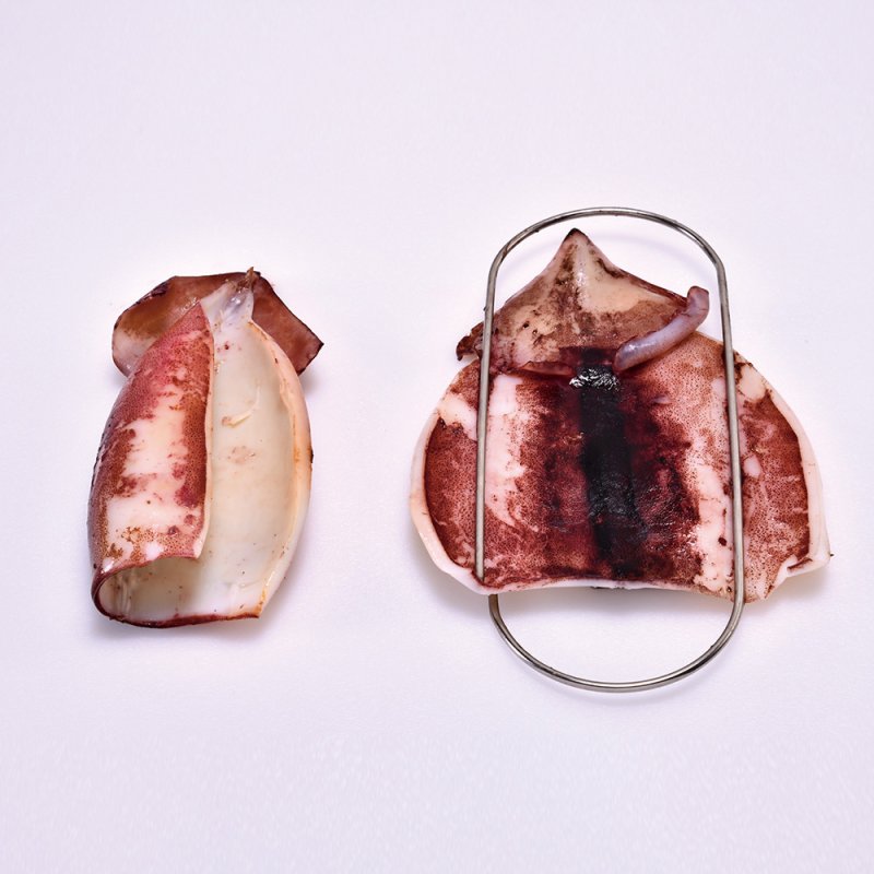 画像4: 新越ワークス いかクリップ (4)