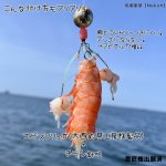 画像14: [11月23日入荷予定]NEKOH　チラシック[湾フグ専用チラシ仕掛け] (14)