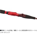 画像8: ダイワ　リーディングスリルゲーム (8)