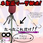 画像3: [11月23日入荷予定]NEKOH　チラシック[湾フグ専用チラシ仕掛け] (3)