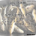 画像12: [11月23日入荷予定]NEKOH　チラシック[湾フグ専用チラシ仕掛け] (12)