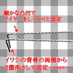 画像6: [新入荷]Nekoh　イワシホールド「不動」 (6)