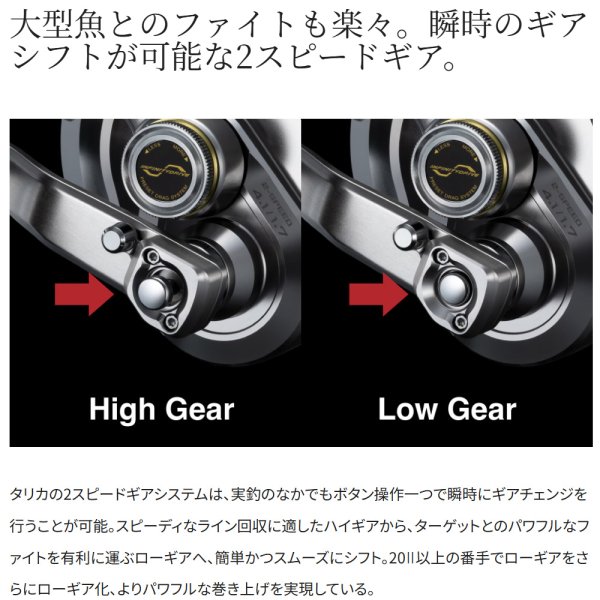 シマノ 26タリカ 20II | 4月発売・予約受付中【安売王釣具のつり吉】