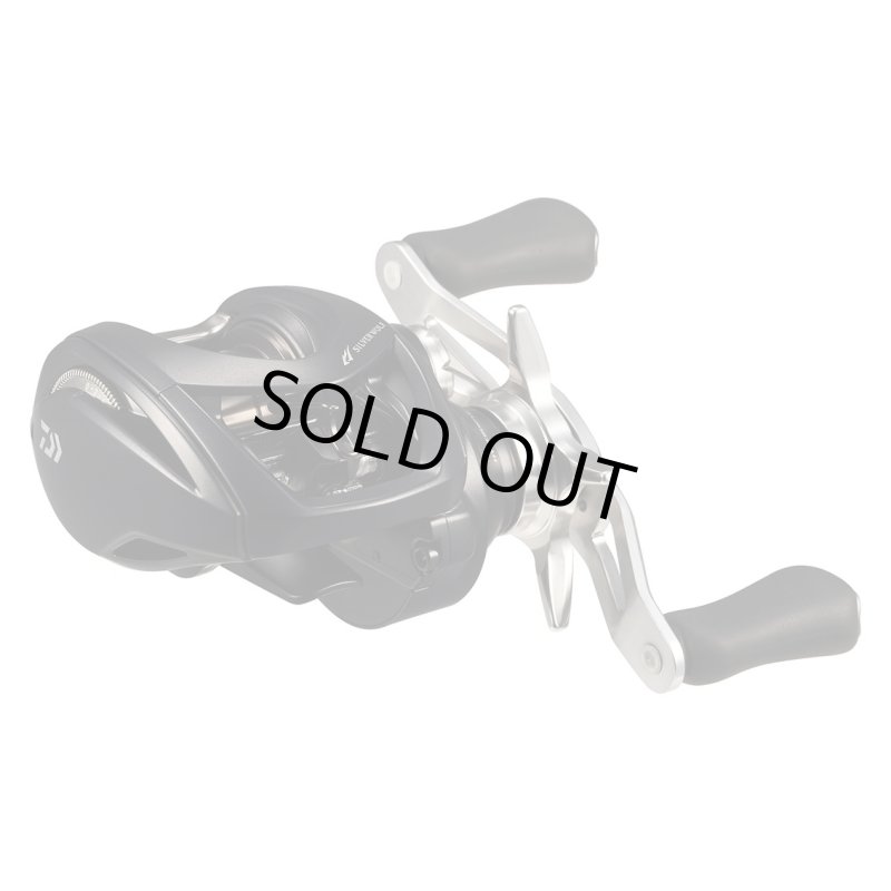 画像2: [新入荷]SILVER　WOLF　CT　SV　TW　8.5L　PE　SPECIAL (2)