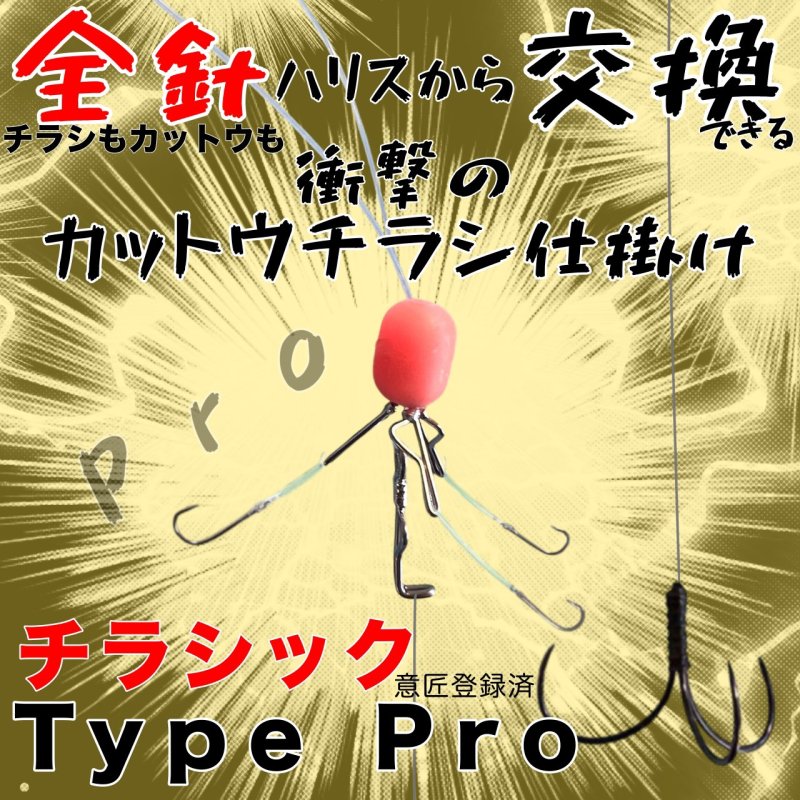 画像1: チラシック Type PRO (1)
