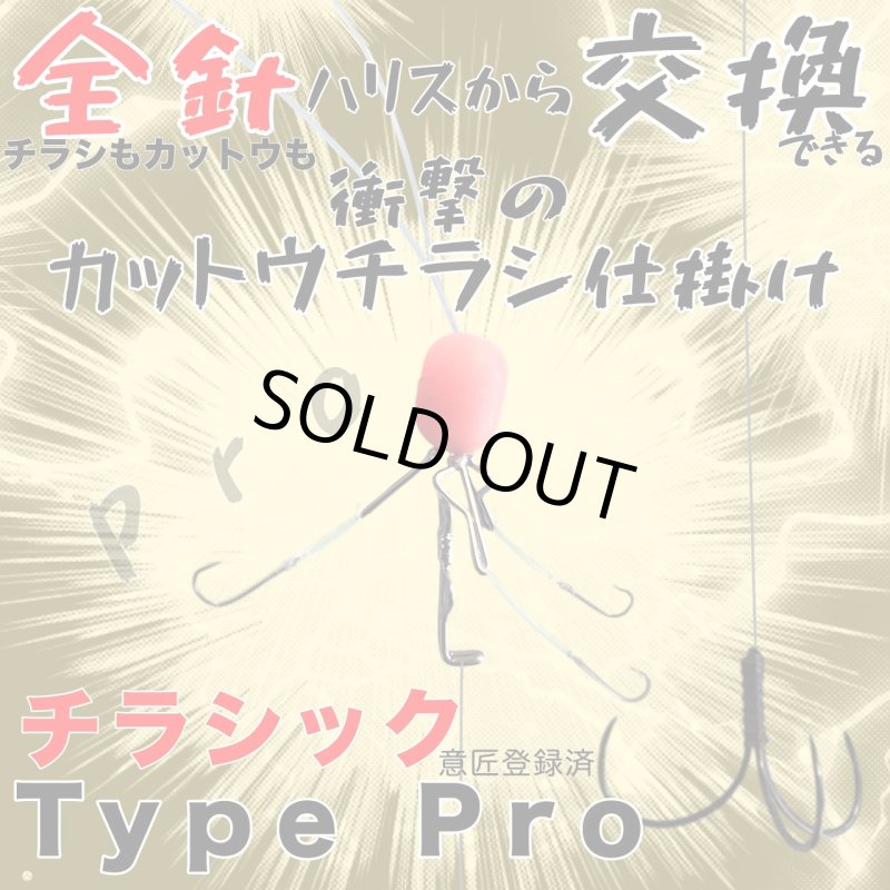 画像1: チラシック Type PRO (1)