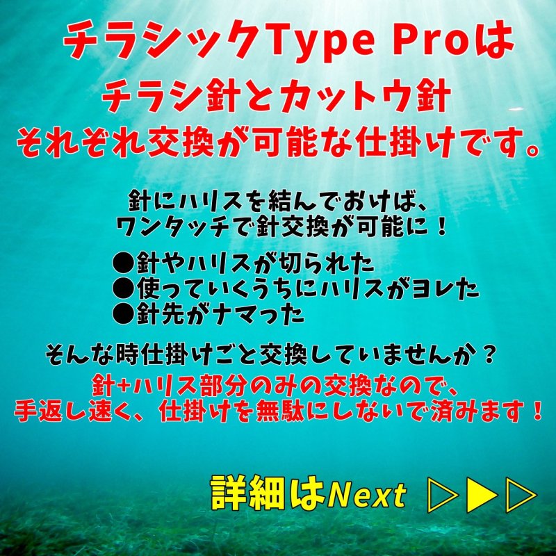 画像7: チラシック Type PRO (7)