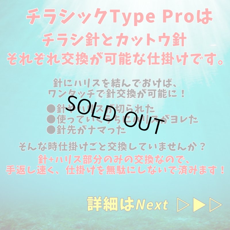 画像7: チラシック Type PRO (7)