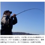 画像10: [予約受付中|7月発売予定]ダイワ　瞬鋭テンヤタチウオEX R-SPEC　82-170 (10)