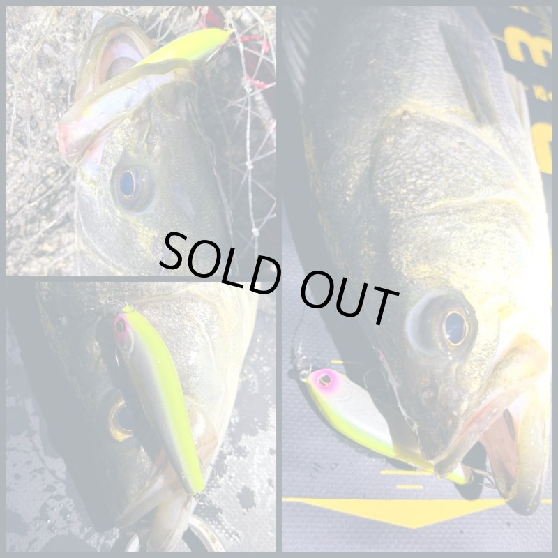 画像2: ピックアップ ワスプスラローム68S　キラーチューン (2)