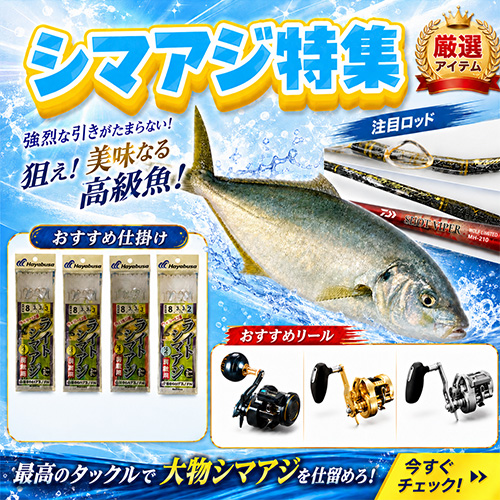 シマアジ釣り