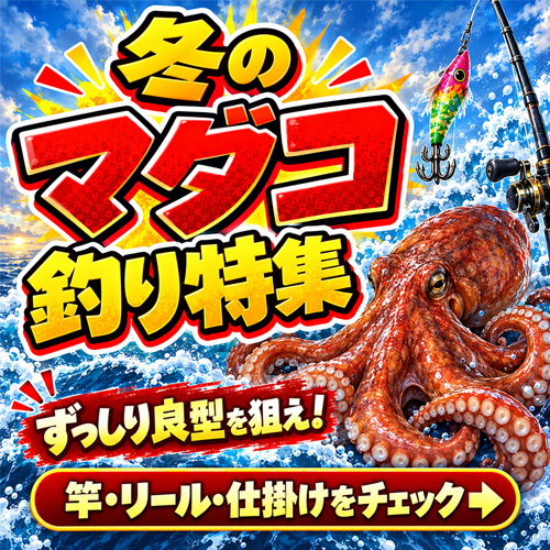 タコ釣り