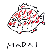 マダイ釣り