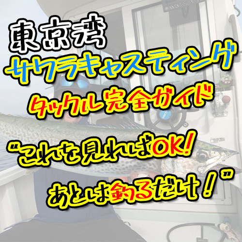 東京湾サワラキャスティング