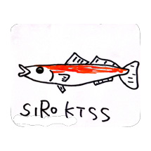 キス釣り